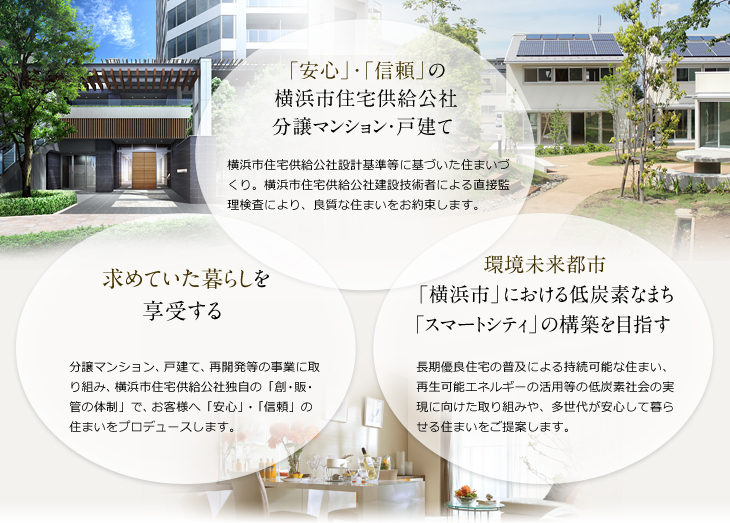 分譲マンション戸建て説明